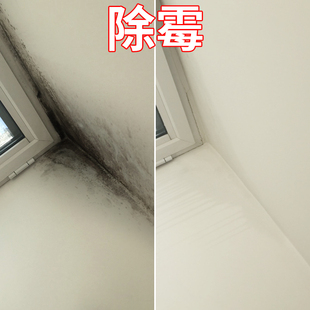 墙体墙面潮湿阴暗防霉除霉除黑吊顶翻新地下室瓷砖白W墙通家用材