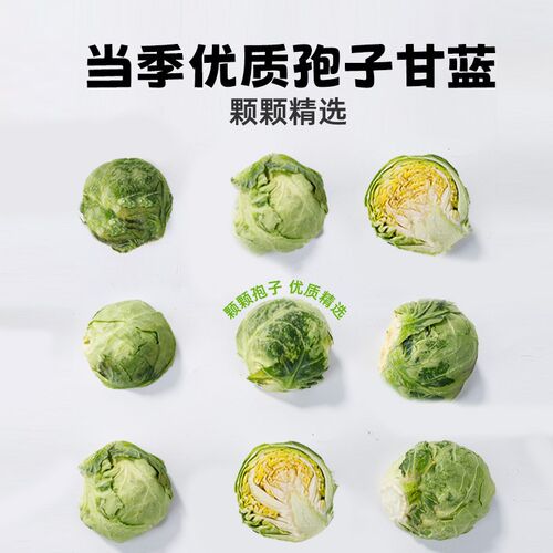 孢子甘蓝c冻干狗狗蔬菜无添加小包菜酥脆老年犬幼犬狗零食
