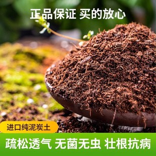 沃思林轻质营养土养花种菜通用型思威博泥炭土花卉盆栽专用种植土