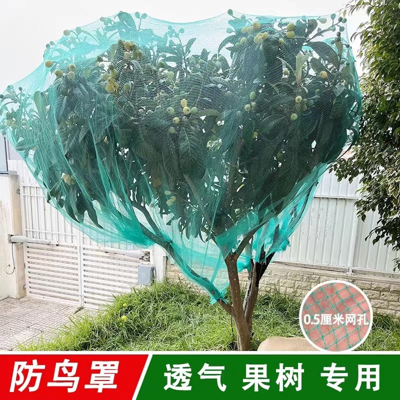 果树防鸟网罩果园防护网莲雾樱桃桃子琵琶树网罩防鸟神器防冰雹网