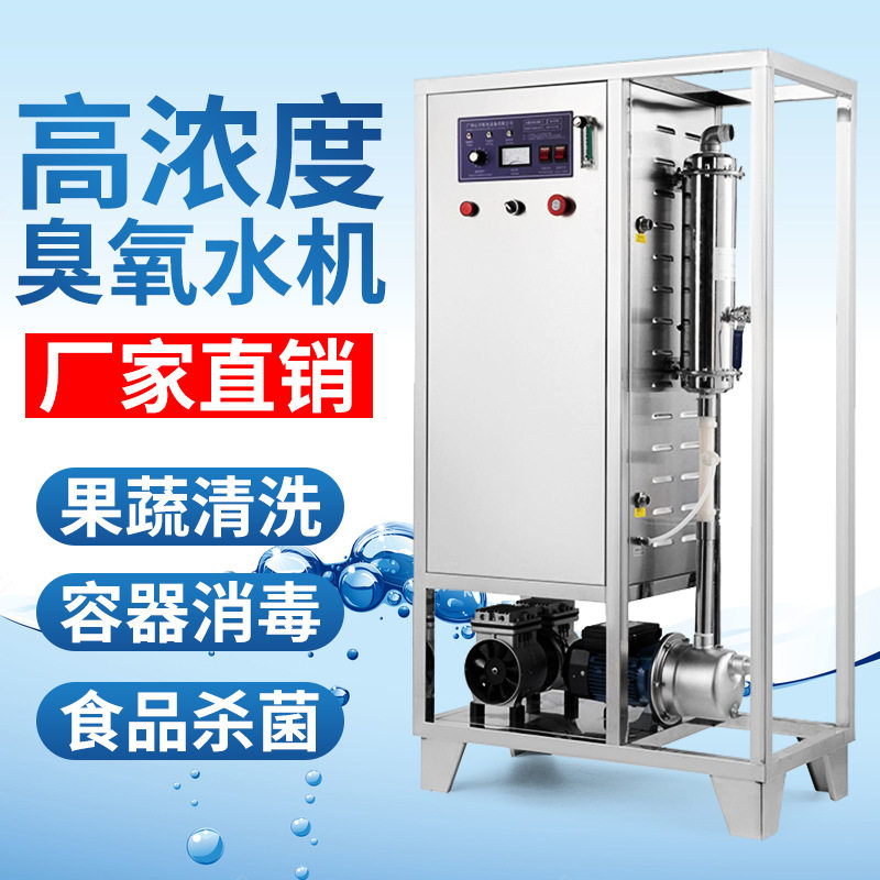 厂家直销一体化高浓度臭氧水机 零售水处理生成器灭藻除菌