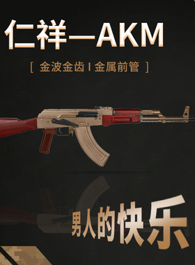 仁祥AKM电动连发74MN玩具枪AK风暴真人CS突击步枪成人AK47任翔102