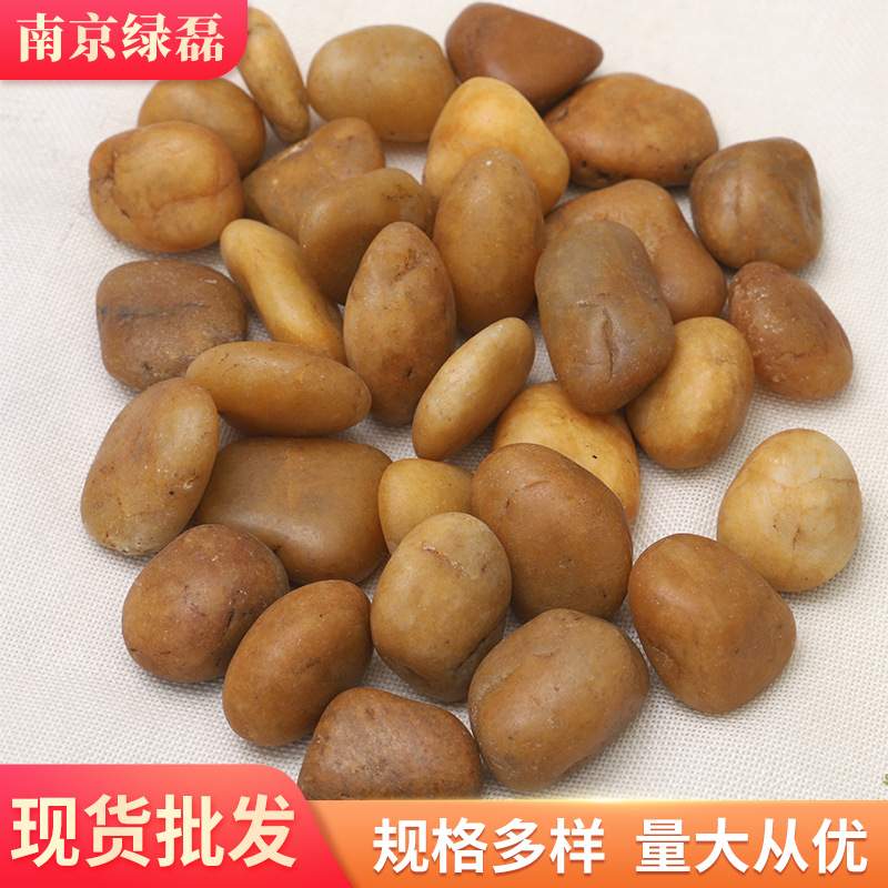 黄色抛光鹅卵石 黄色亮光鹅卵石 园林景观庭院装饰小石头