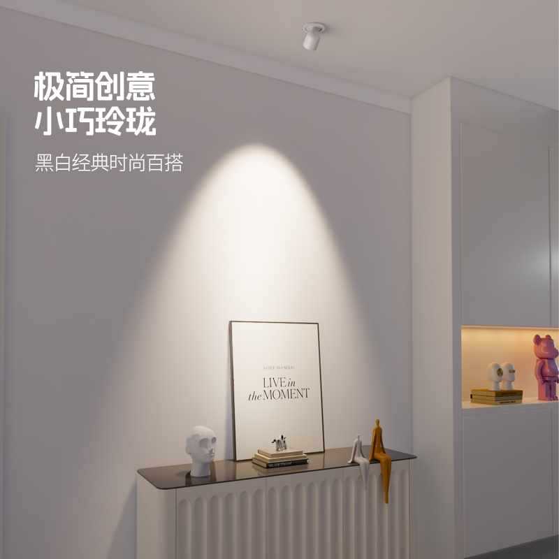 ?可调角度射灯嵌入式led天花灯家用过道玄关照画客厅背景洗墙灯