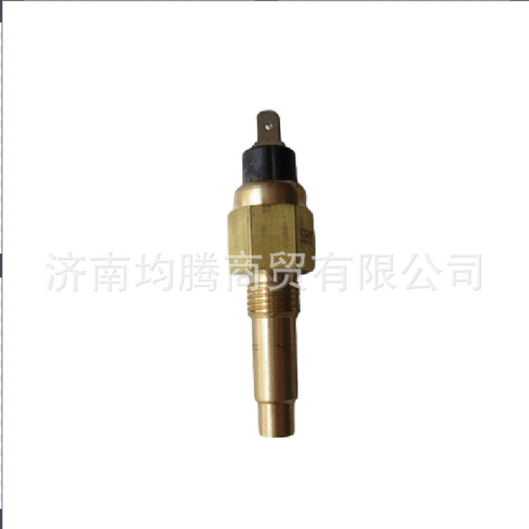 中国重汽零部件承接外贸单STRW水温感应塞(大)VG614090067J