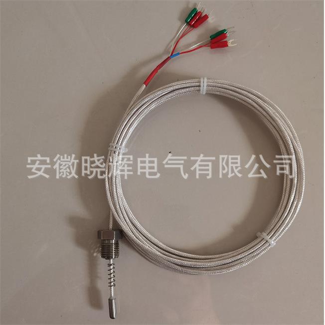 PT100双支端面热电阻WZPM2-201
