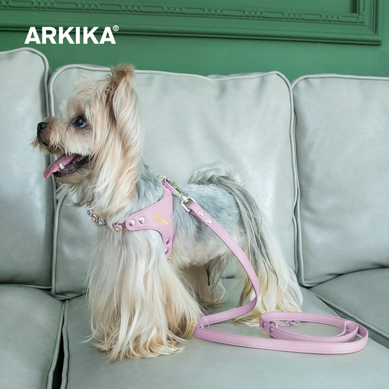 ARKIKA小型犬狗狗牵引绳网红外出遛狗绳胸背式约克夏茶杯宠物