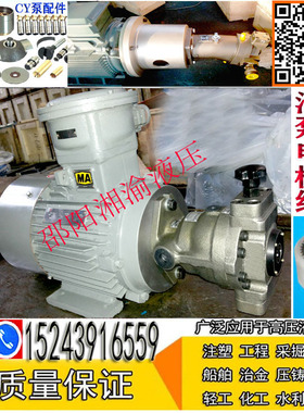 32SCY14-1B+Y2-160M-67*CY泵电机组25SCY-Y160