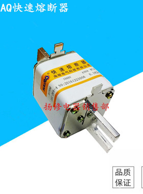 RS75AQ 1000V 400A 450A 500A560A630A快速熔断器 陶瓷熔断器熔芯