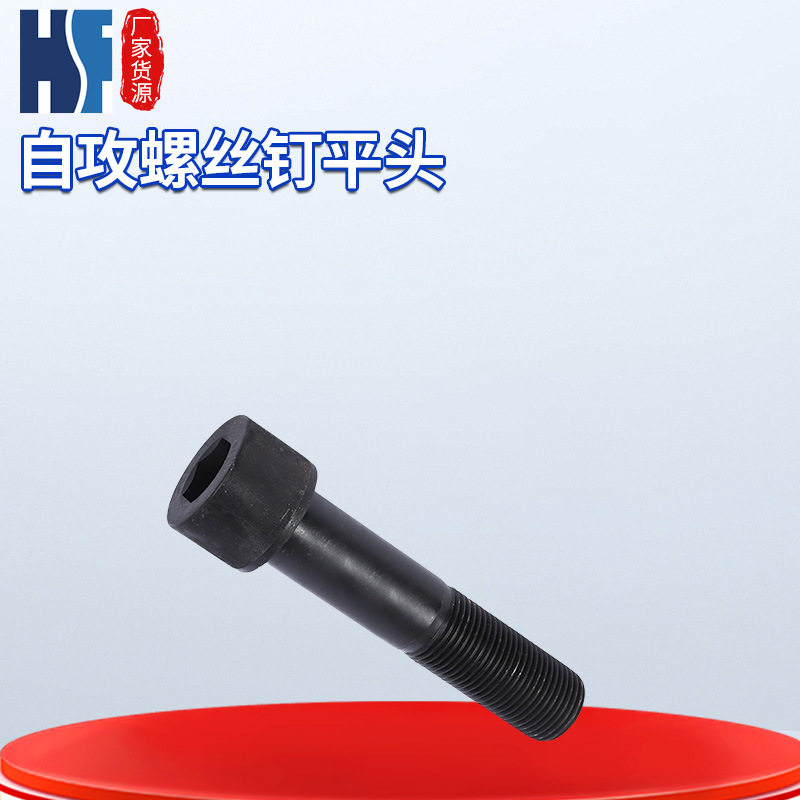 钢结构连接副螺栓8.8级T型GB3736*250高强度自攻螺丝钉平头螺纹
