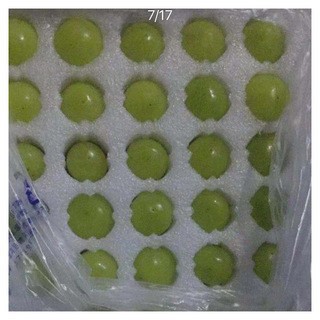 厂家批发epe珍珠棉防震防摔水果葡萄托盘内衬填充泡沫定制订做