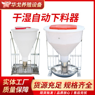 育肥猪用干湿下料器猪用自动喂料器料槽自动供料下料器华戈