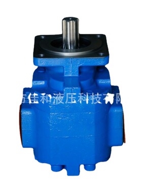 徐工老500K装载机工作泵     1166041017