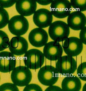 1um 绿色荧光微球   5ml