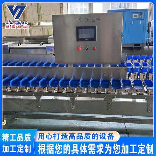 甲鱼自动称重机 8级章鱼全自动分级机 带鱼段重量分选机 盛耀现货