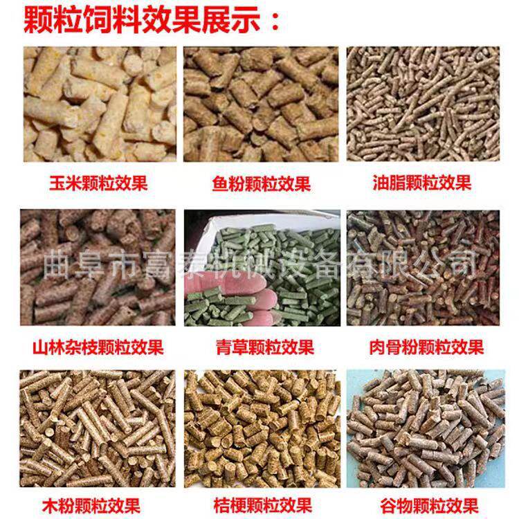 家禽猪牛羊饲料颗粒机 多种型号平模饲料颗粒机 秸秆草粉制粒机