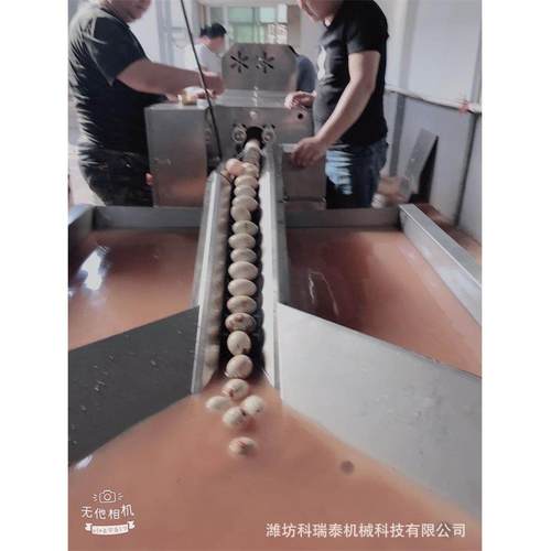 鸡蛋鸭蛋流水线自动化设备 成套鸡蛋鸭蛋清洗消毒喷油喷码一体机