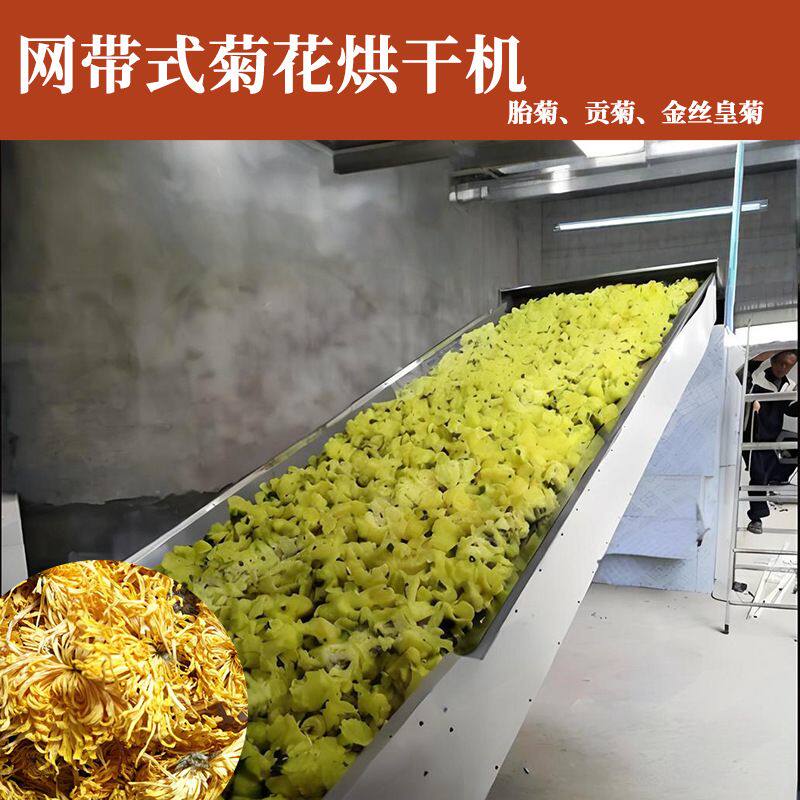 多层网带式烘干机胎菊贡菊杭白菊连续烘干设备药材花茶烘干生产线