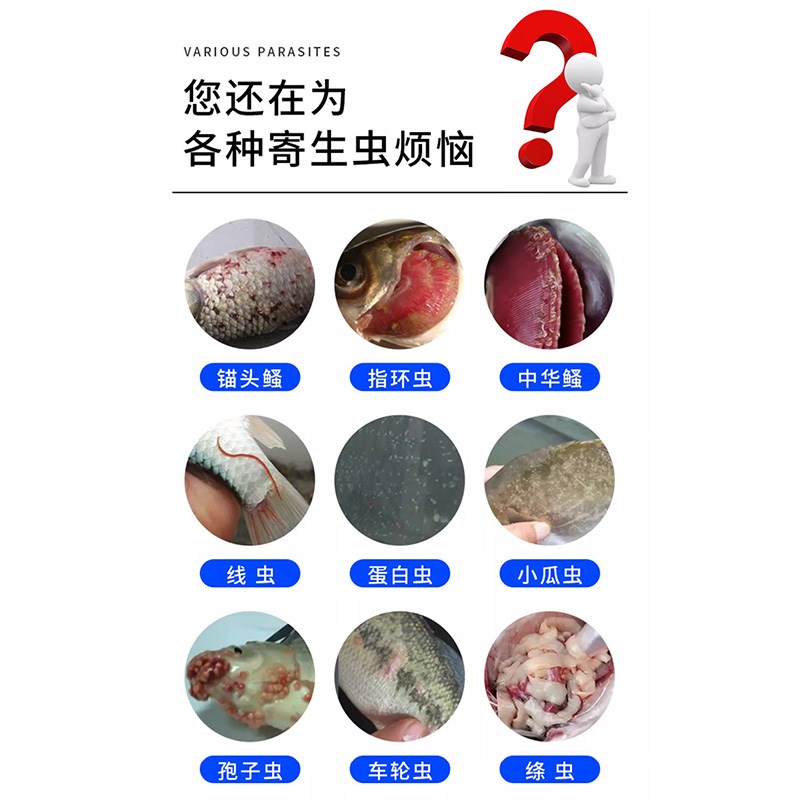 敌百虫鱼药锚头鳋指环虫锦鲤双杀药鱼塘杀虫药鱼用敌百虫水产用