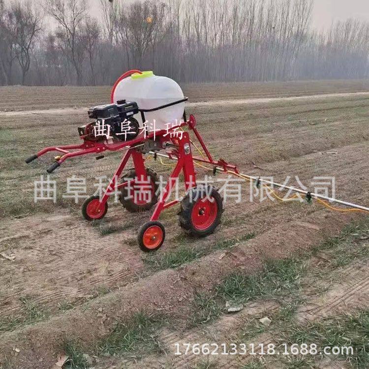 科瑞柴油打药机 农用果园蔬菜打农药喷雾机 自走式手扶喷雾器
