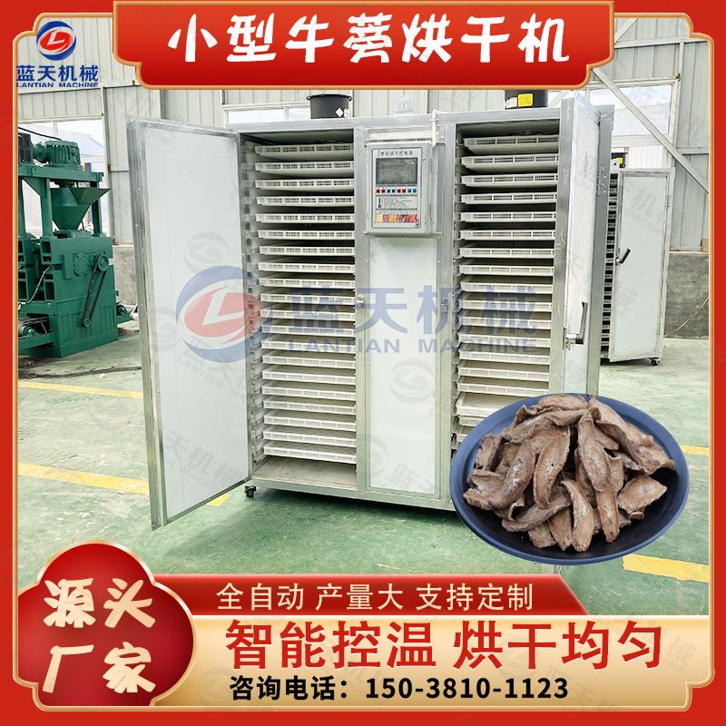 电加热牛蒡子烘干机 小型商用恶实大力子烘干箱 牛蒡根烘干一体机
