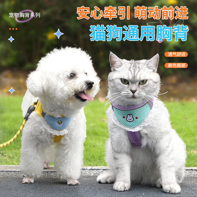 猫狗通用防挣脱牵引绳+可爱比熊