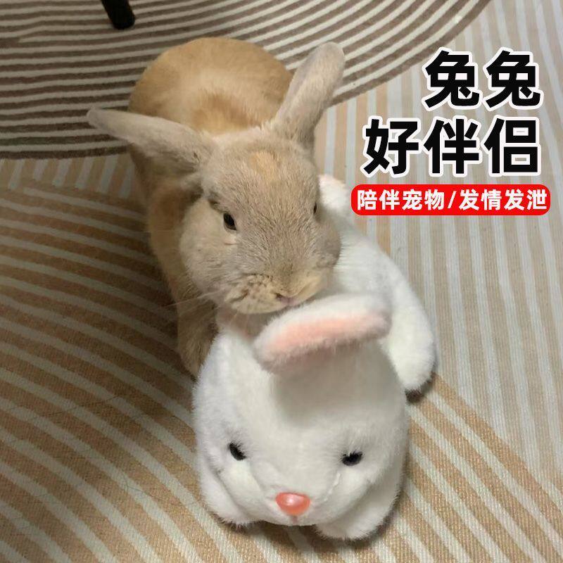 兔子成年公母发情期毛绒仿真发泄