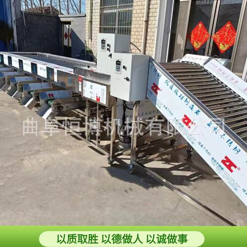 不锈钢土豆分选机 商用大型水果选果机 多功能工业李子筛选机