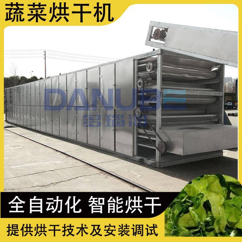 蔬菜烘干机 全自动带式魔芋南瓜山药片菠菜烘干设备 蔬菜干风干机
