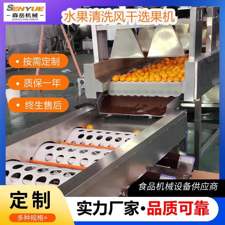 大型沃柑清洗打蜡机全自动洗果机水果分级生产线橙子清洗选果机,清洗/食品/商业设备,果蔬加工设备,淘宝优惠券,粉丝福利购,淘宝优惠卷