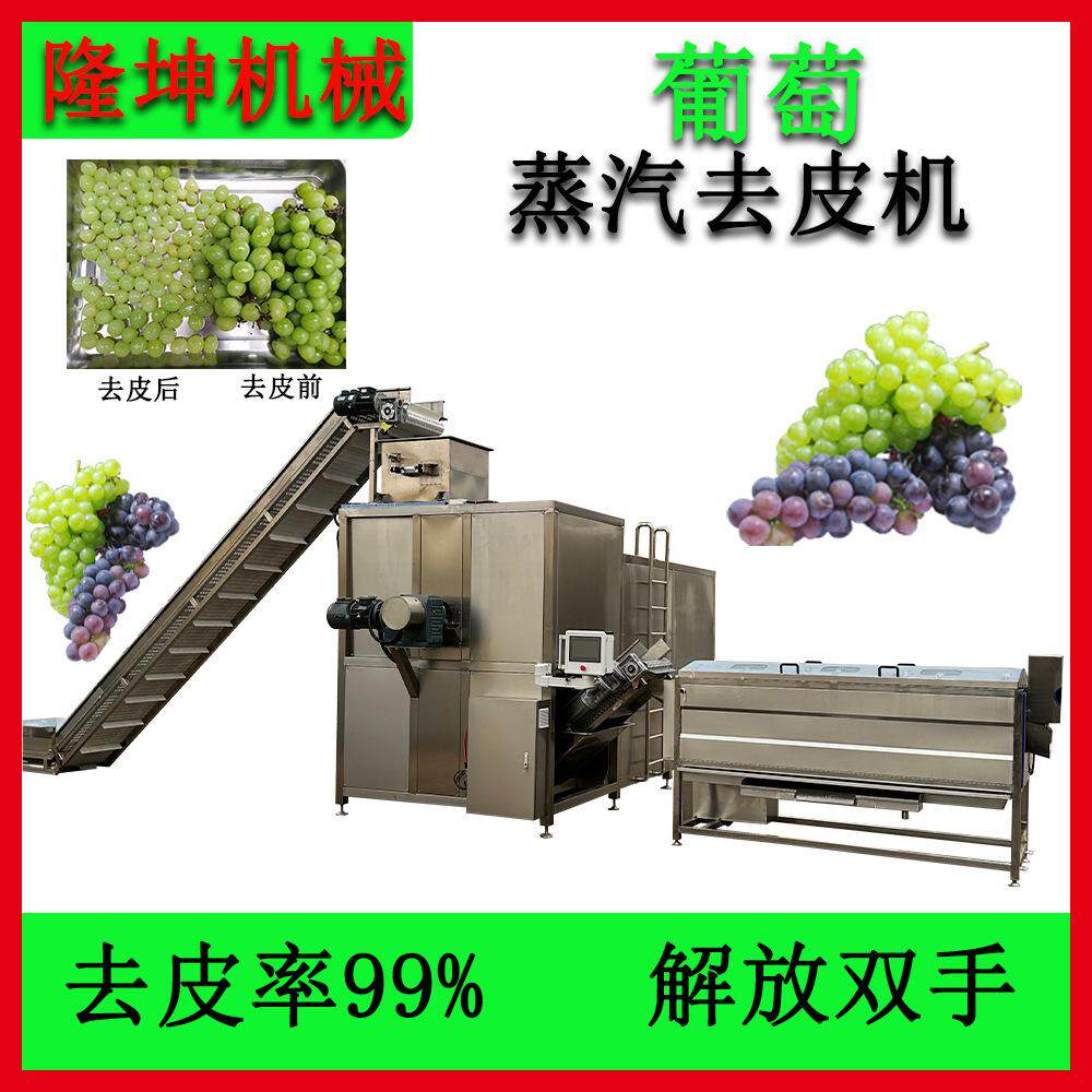 可定制多功能葡萄蒸汽去皮机 全自动土豆蒸汽剥皮机 洋柿子脱皮机