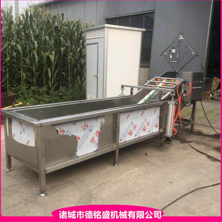 海参鲍鱼重保鲜的挂冰机剥皮的虾仁包衣流水线鸡翅挂冰机