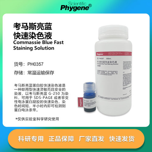 考马斯亮蓝快速染色液 蛋白电泳10+500mL 浓缩液 PH0357 PHYGENE