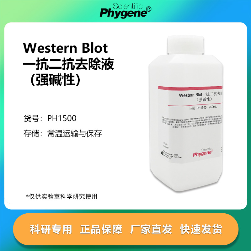 实验试剂Western一抗二抗去除液