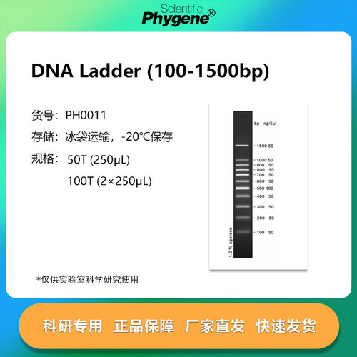 DNA ladder (100-1500bp) DNA Marker 100T [PH0011 PHYGENE]
