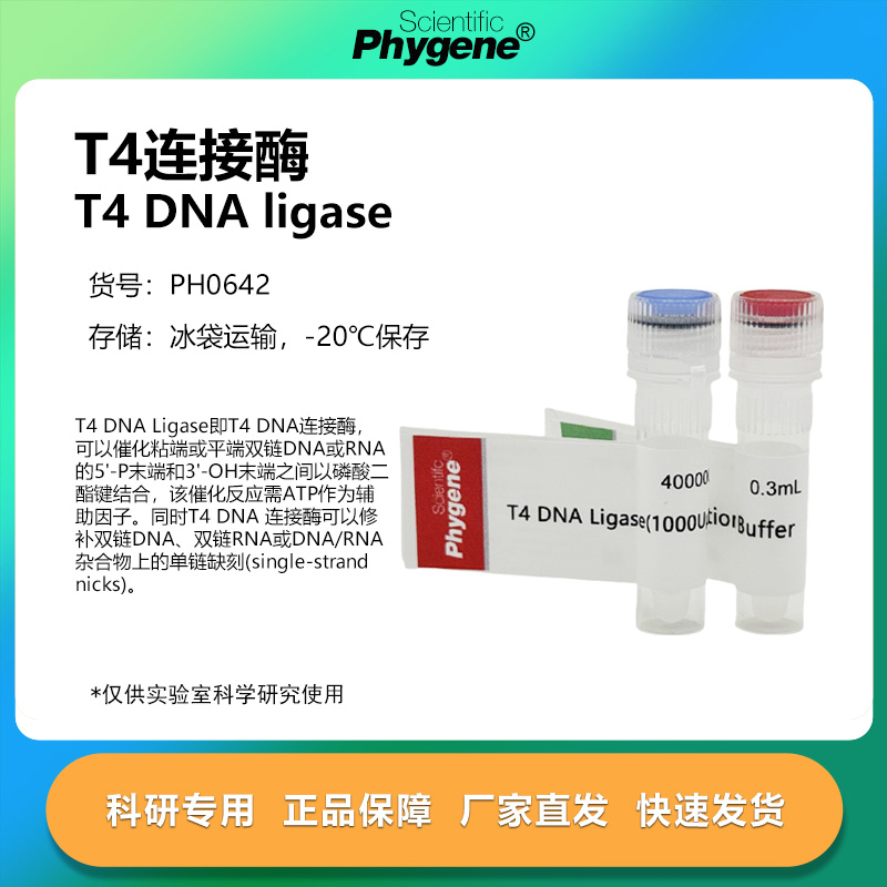 T4DNA连接酶T4DNALigase