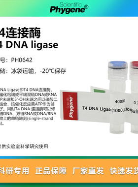 T4 DNA Ligase T4 DNA连接酶 T4连接酶 40000U PH0642 PHYGENE
