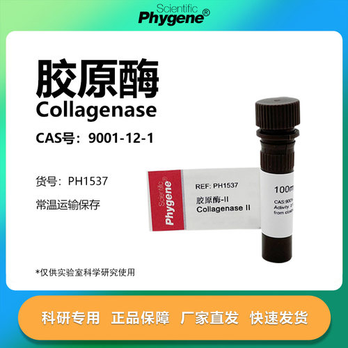 胶原酶Ⅱ型实验专用