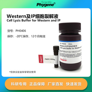 Western及IP细胞裂解液 送PMSF 100mL 免疫沉淀 [PH0406 PHYGENE]