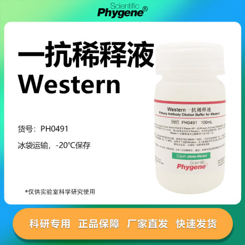 Western一抗稀释液实验专用