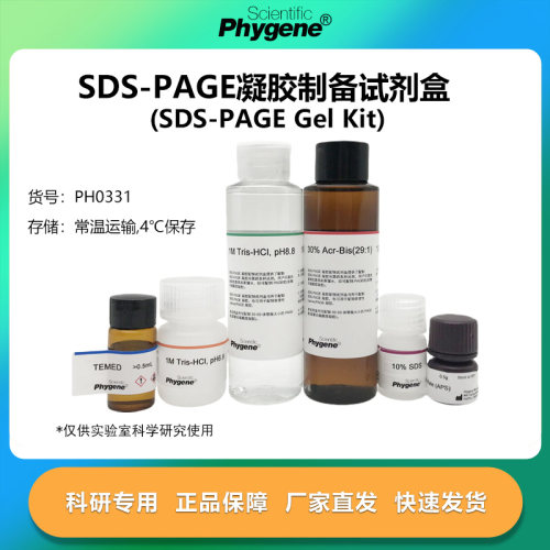 SDS-PAGE凝胶制备试剂盒