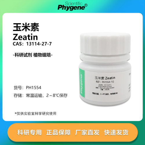 玉米素ZT13114277植物细胞