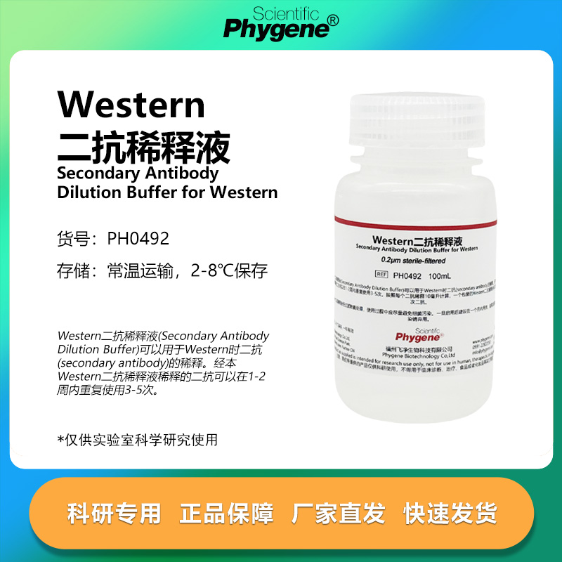 Western二抗稀释液科研专用