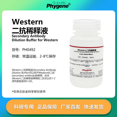 Western二抗稀释液科研专用