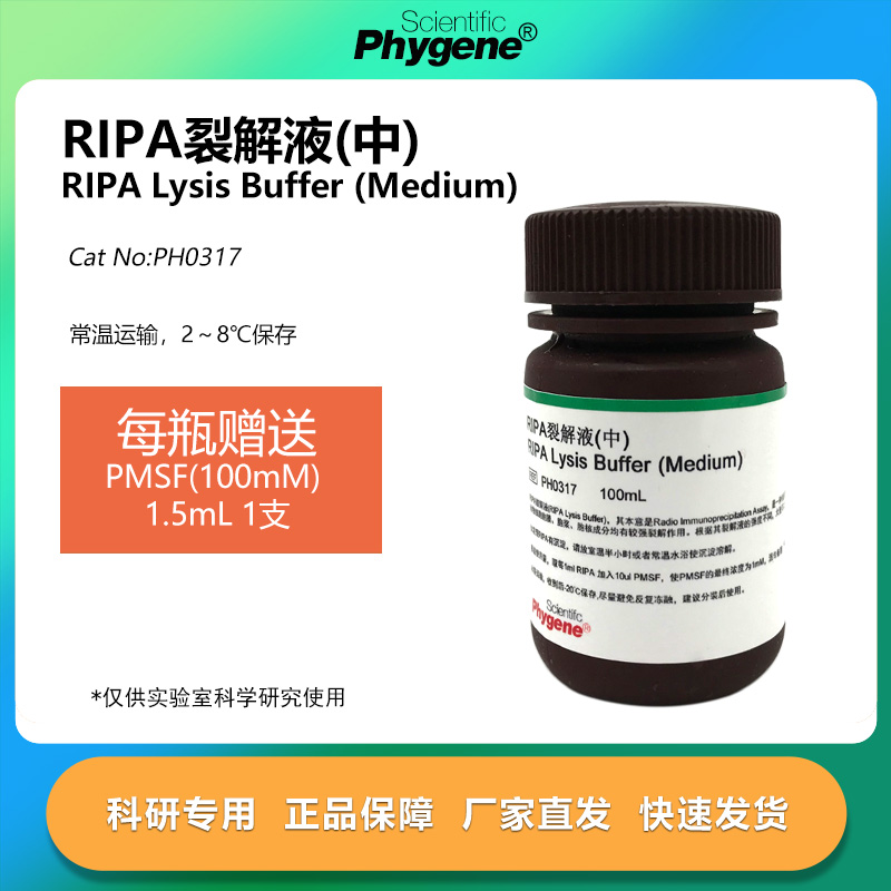 RIPA裂解液(中)科研专用