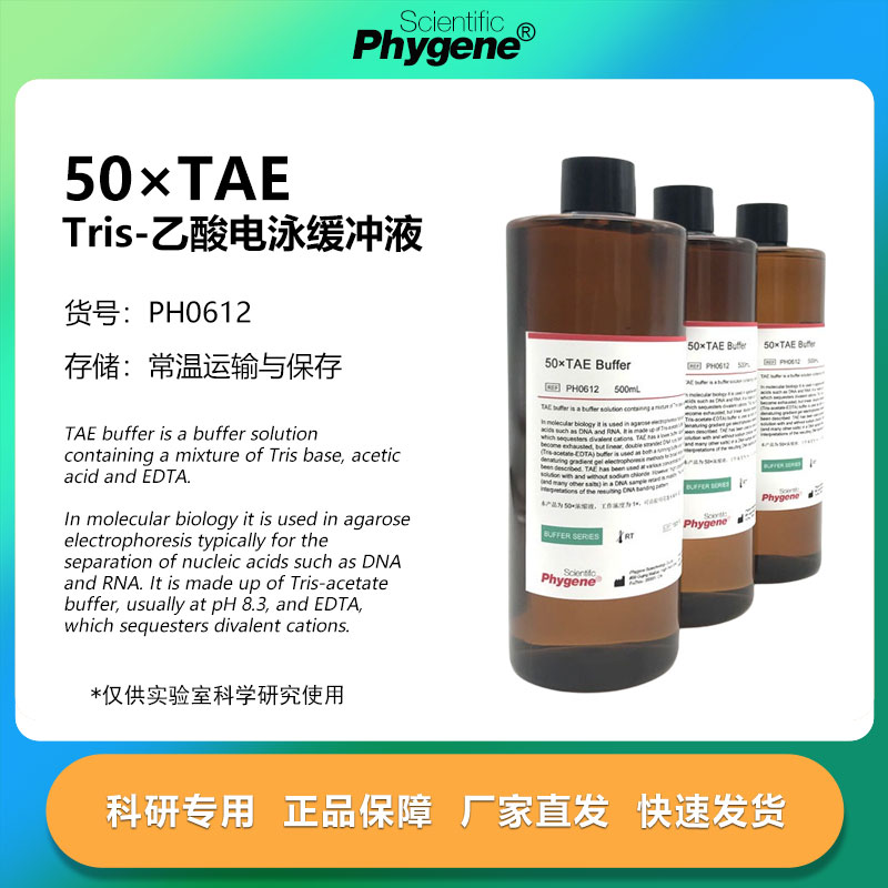 50×TAE Tris电泳缓冲液 50X TAE缓冲液 500mL [PH0612 PHYGENE]
