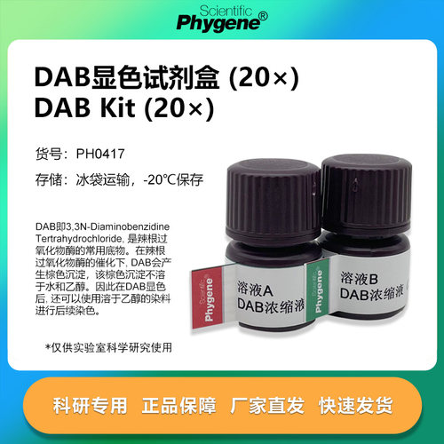 DAB显色试剂盒(20×)实验专用