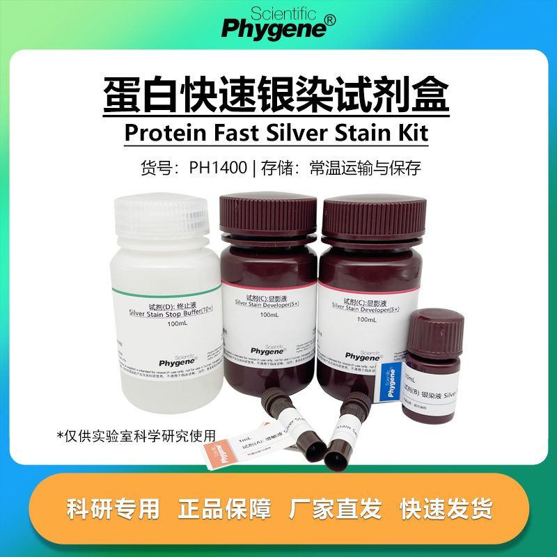 蛋白快速银染试剂盒科研专用