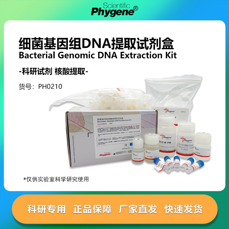 细菌基因组DNA提取试剂盒 50T/100T 核酸提取 PH0210 PHYGENE
