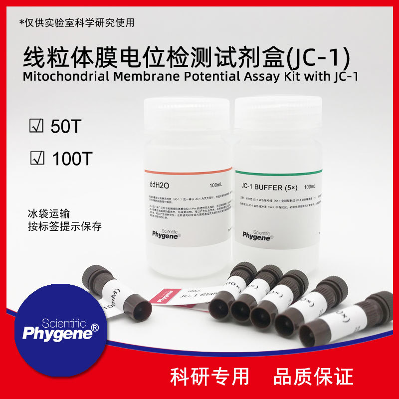 线粒体膜电位检测试剂盒(JC-1法) 100T  科研实验 [PH1787 PHYGEN